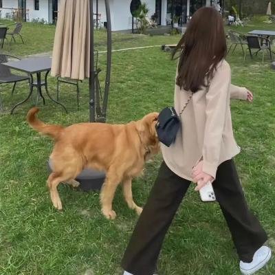 你知道，你的楼梯很漂亮